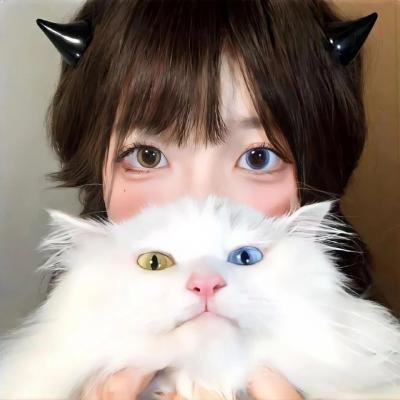 新斩龙遇仙记
